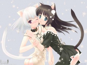 ����� ������� ���